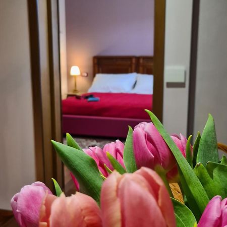 Zi Bitta - Guest House Palmanova Eksteriør billede