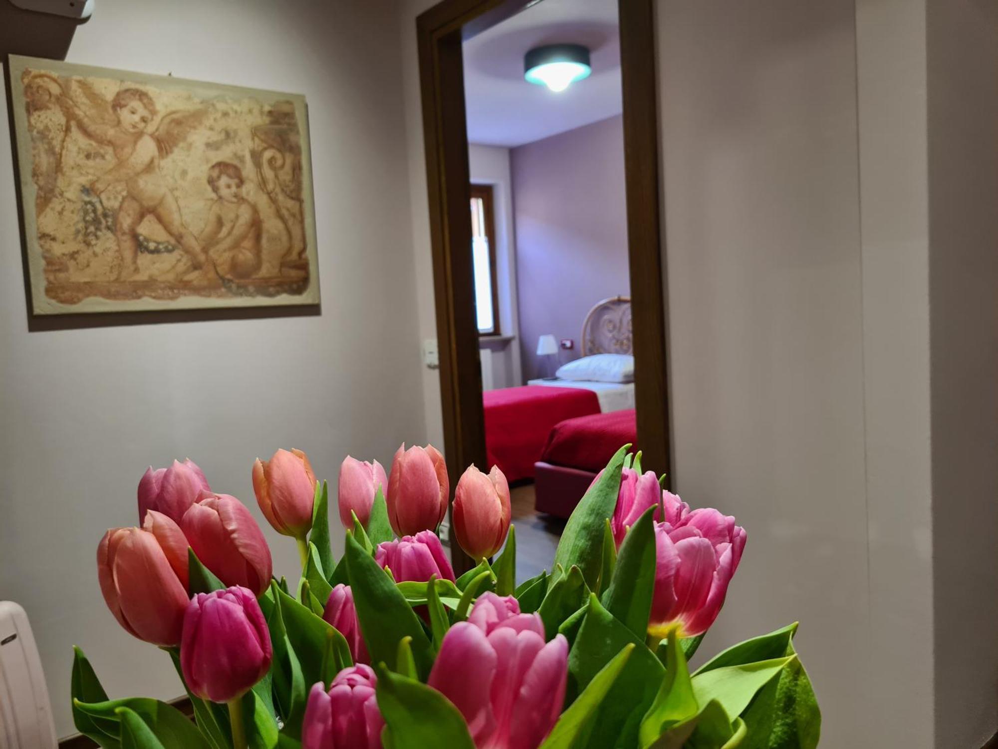 Zi Bitta - Guest House Palmanova Eksteriør billede